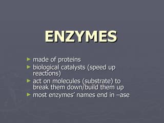 Enzymes Ppt