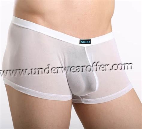 Sexy Mens Sheer Boxer Briefs Bulge Pouch Underwear See Through Mesh