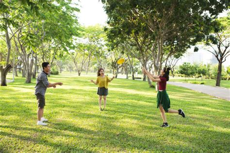 2900 Frisbee Park Stock Photos Pictures And Royalty Free Images Istock