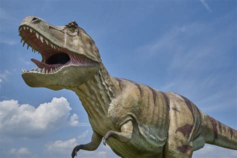 Dinosaurus Prehistorisch Gratis Foto Op Pixabay Pixabay