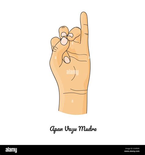 Apan Vayu Mudra Lifesaver Gesture Vector Stock Vector Image Art