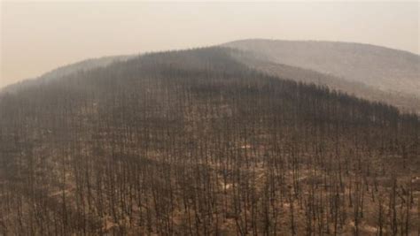 Fire: 935.000 hectares burned – New satellite image of the disaster | Defend Democracy Press