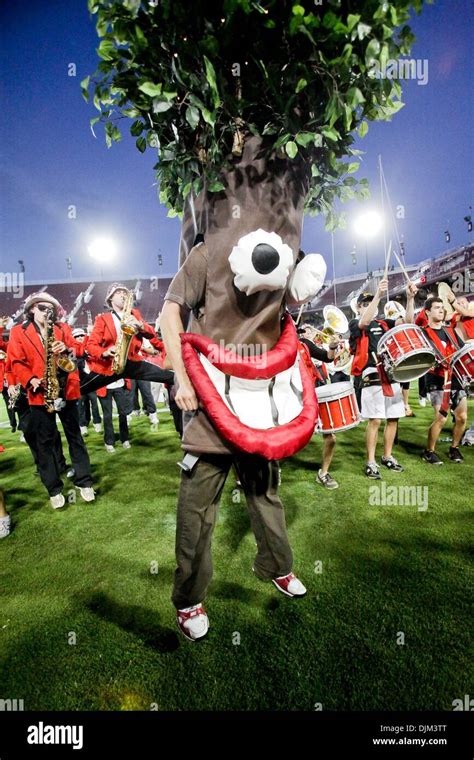 Mascot of the university of california hi-res stock photography and ...