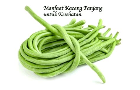 11 Manfaat Kacang Panjang Untuk Kesehatan BAMS