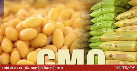 Thiếu minh bạch sử dụng nguyên liệu và thực phẩm biến đổi gene VTV VN