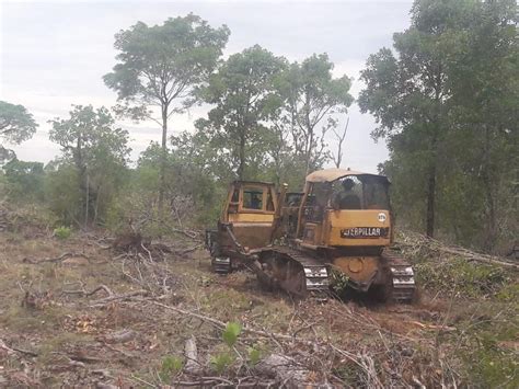 Fiscais De Mt Flagram Rea Desmate Ilegal No Pantanal Mato Grosso