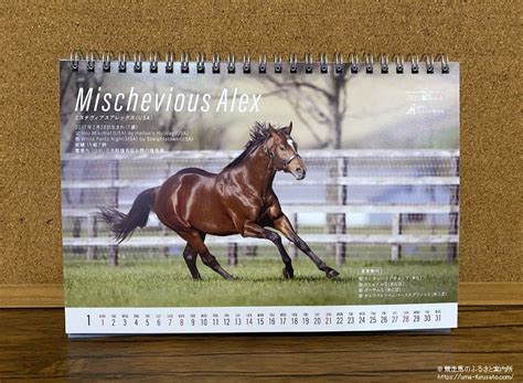 オリジナル卓上カレンダー『stallion Calendar 2024』を1000名様にプレゼント！ 馬産地ニュース 競走馬のふるさと案内所