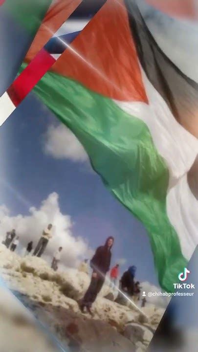 تحيا فلسطين 🇵🇸 Youtube