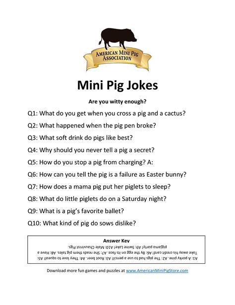 Mini Pig Jokes - American Mini Pig Online Store