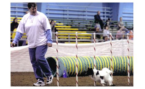 Offtheclock Champion Papillons We Are Valley Blog