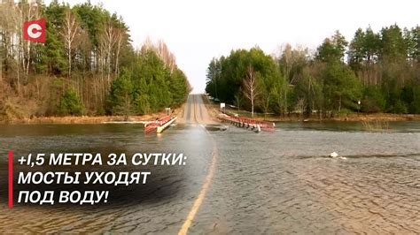 Днепр топит мосты! Сильный подъём воды в реке: как справляются жители ...