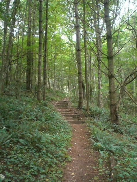 New River State Park › North Carolina Science Trail