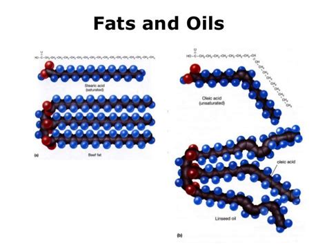 Lipids Chemistry Structure And Function