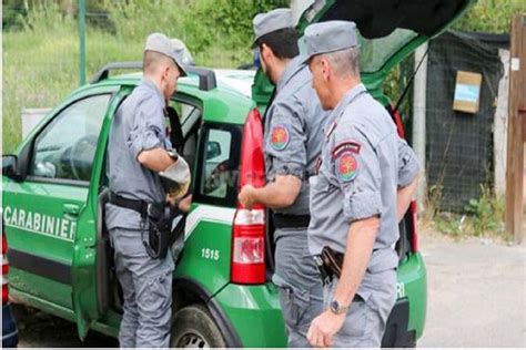 Attività dei Carabinieri Forestali a difesa dei boschi e nella gestione