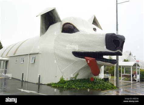 Tirau Dog Building Hi Res Stock Photography And Images Alamy