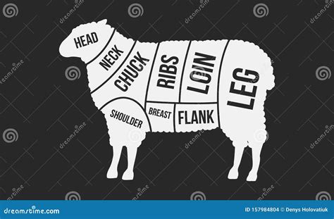 Cuts of Lamb. Meat Cuts. Sheep Silhouette Isolated on Black Background. Vintage Poster for ...