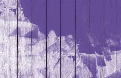 Painted Wood Background Wallpaper with Purple Paint. Stock Illustration ...