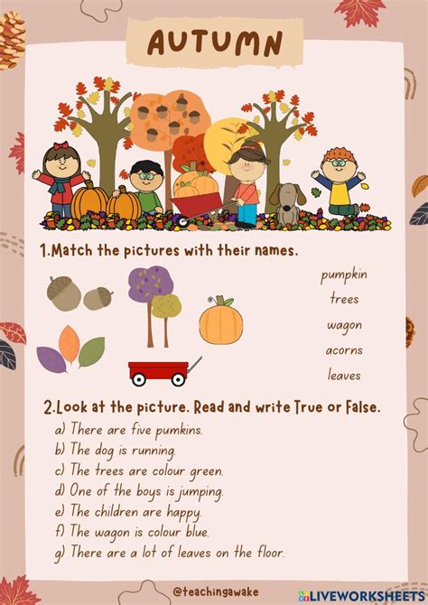 Autumn Interactive Worksheet For 3rd Primary Learning English For