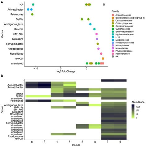 Transformation Of Metformin To Guanylurea Metformin Degradation Is