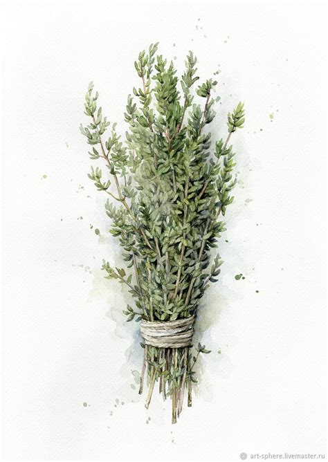 Картина на кухню в стиле прованс "Тимьян" акварель в интернет-магазине ...