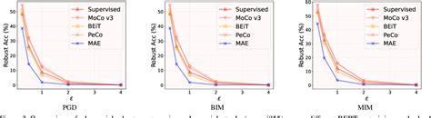 Figure 2 From Improving Adversarial Robustness Of Masked Autoencoders