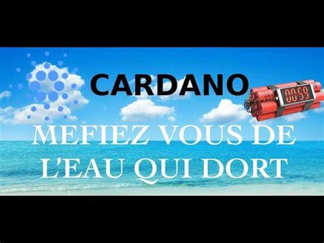 CARDANO MEFIEZ VOUS DE L EAU QUI DORT LA BLOCKCHAIN LAYER 1 MAL AIMEE