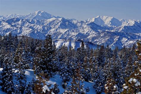 15 Things to Do in Yuzawa & Niigata - SNOW MONKEY RESORTS