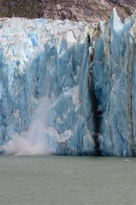 Tracy Arm Fjord Glacier Explorer Excursion - Tammilee Tips