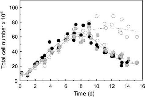 Comparison Of Msc Growth Kinetics In Spinner Flasks At Different