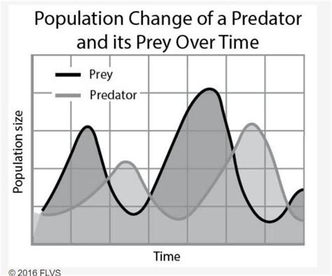 Free What Relationship Exists Between The Densities Of Predator And