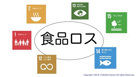 Sdgs初心者のためのsdgsと食品ロス講演『”日々の暮らしとsdgs”ずっと続く未来のために。』 食品ロス講演は美人冷蔵庫life