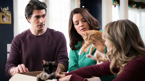 The Nine Kittens Of Christmas Watch Full Movie From 2021 On Withlove