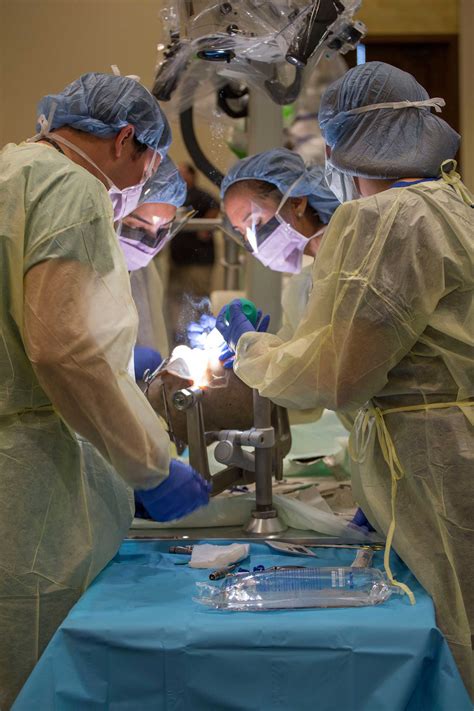 Ozarks Neuroscience Education (ONE) Clinics