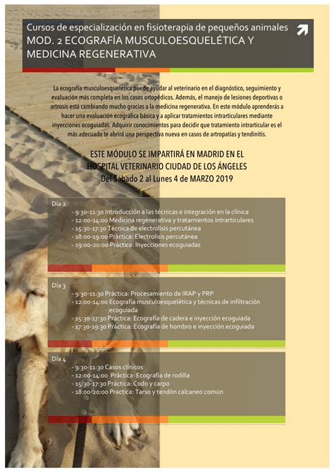 Pdf Cursos De Especializaci N En Fisioterapia De Peque Os La