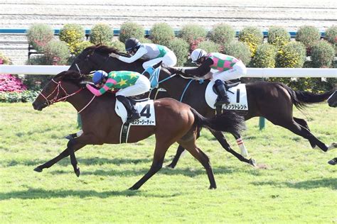 ハヤテノフクノスケ 競走馬データtop｜競馬予想のウマニティ