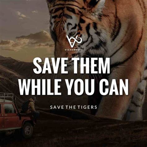 Save them while you can | Save Tigers Slogans and Quotes | International Tiger Day ...