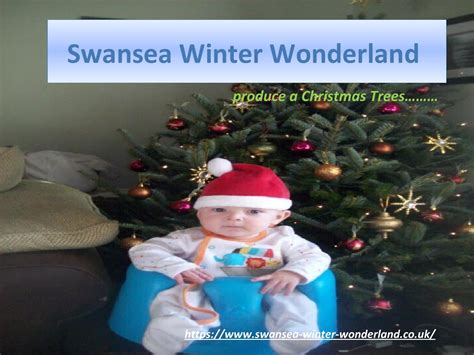 A perfect collections of Christmas Decoration - Swansea Winter ...