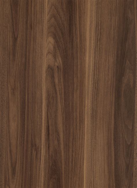 Walnut Wood Texture