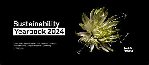 Rankings The Sustainability Yearbook S P Global