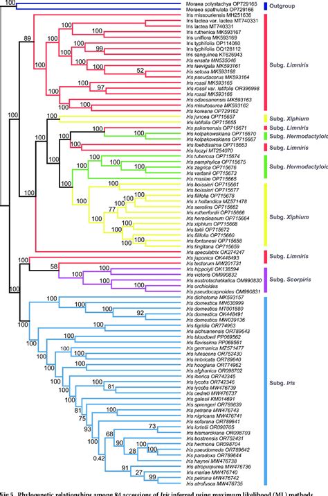 Figure 1 From Complete Plastid Genome Of Iris Orchioides And