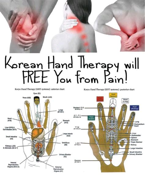 A Striking Characteristic Of The Korean Hand Chart Concerns The Fact