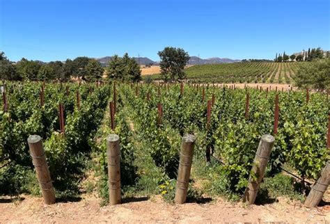 Santa Ynez California Day Trip Things To Do