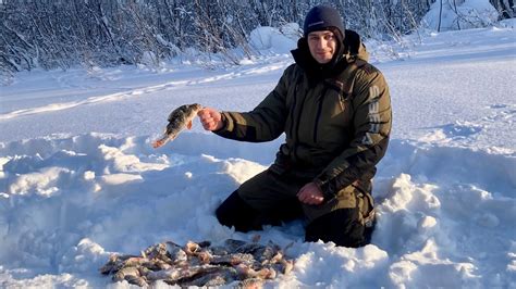 Ух сколько же его тут, иногда можно порыбачить и в комфортных условиях ...