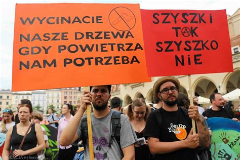 Protestowali na Rynku przeciwko wycince Puszczy Białowieskiej