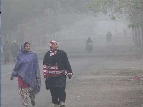 The Cold And Dry Wind Coming From The North Again Increased The Cold In The State Raipur S