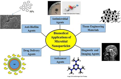 Frontiers Microbial Nano Factories Synthesis And Biomedical Applications