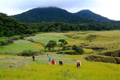 Wisata Gunung Papandayan Garut Lokasi Rute Harga Tiket Dan Aktivitas