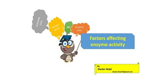 Enzymology Ii Factors Affecting Enzyme Activity PPT