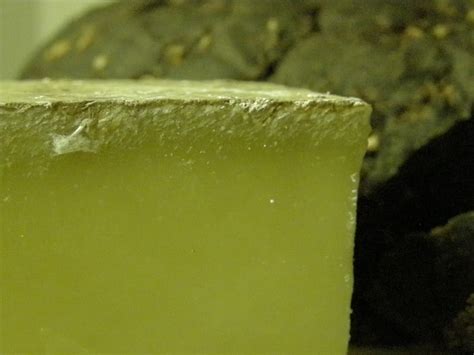 080401 Bread And Cheese 3 Cheese Mold Macro Gruyere Flickr