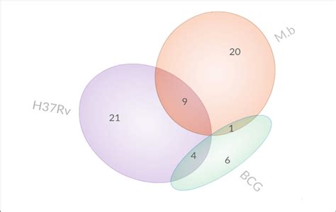 Venn Diagrams Display The Overlap Of Differentially Expressed